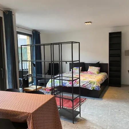 Studio Near Shopping K In K New Bright And * 科尔特赖克